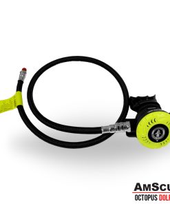 AmScuD Octopus Dolphin