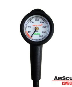 AmScuD Console 1