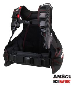 Alternative view of AmScuD BCD Raptor v 2.1