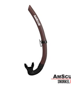 Alternative view of AmScuD Snorkel Pier