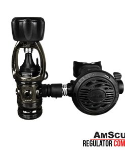 Alternative view of Regulator AmScuD Combat