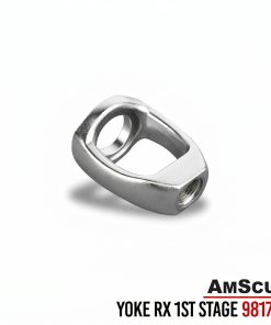 Alternative view of AmScuD Yoke RX 1St Stage 981784